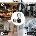 CO2 Druckminderer (2).webp