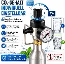 CO2 Druckminderer Set für 425g Zylinder – kompatibel mit BRITA Yource, Neo & Quooker Cube System - Z.webp